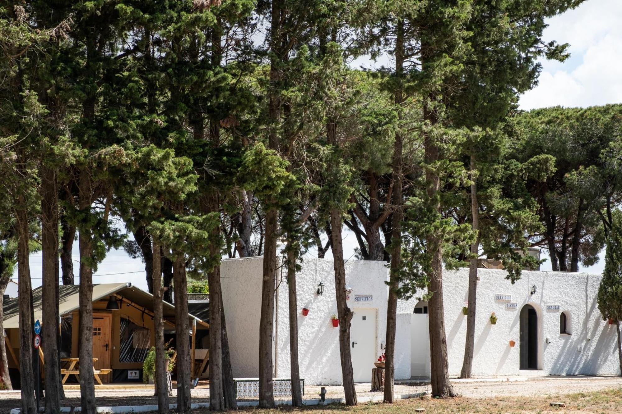 Taiga Conil Campingplatz Conil De La Frontera