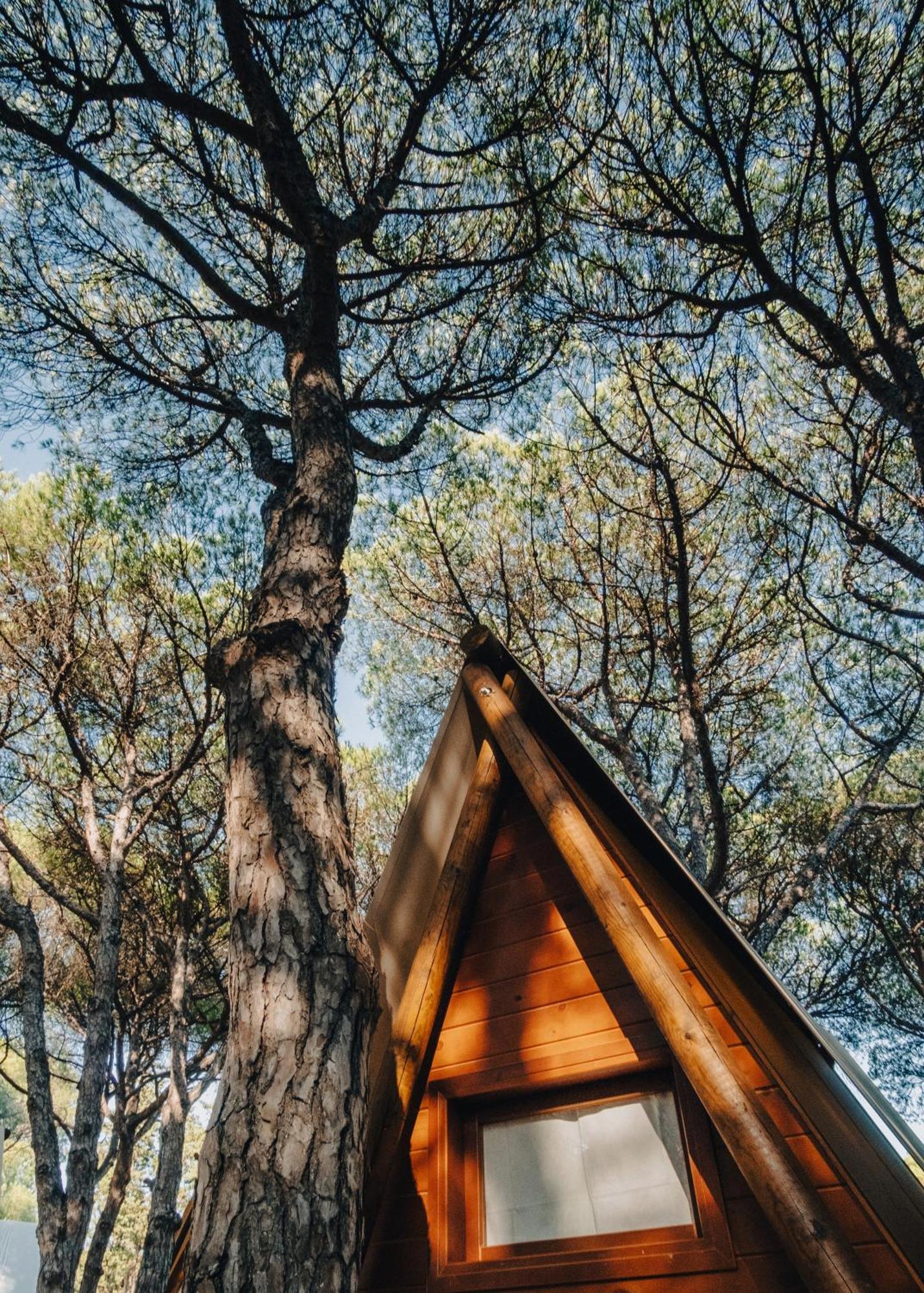 Campingplatz Taiga Conil Conil De La Frontera