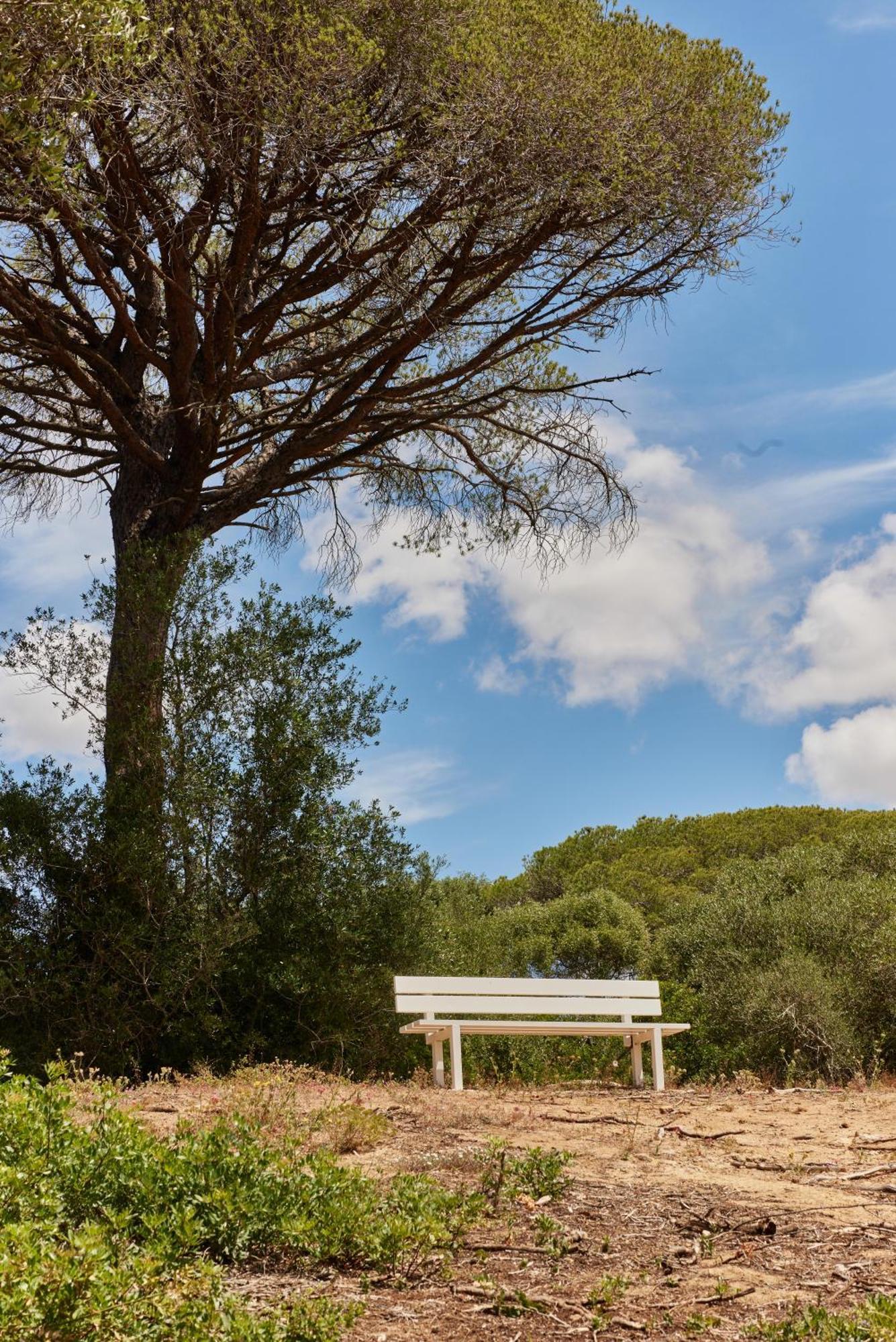 Taiga Conil Campingplatz Conil De La Frontera